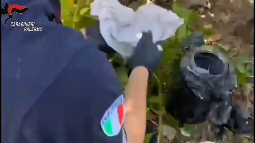 Pioppo, armi clandestinte e droga nascoste nella vegetazione, arrestato un cinquantenne