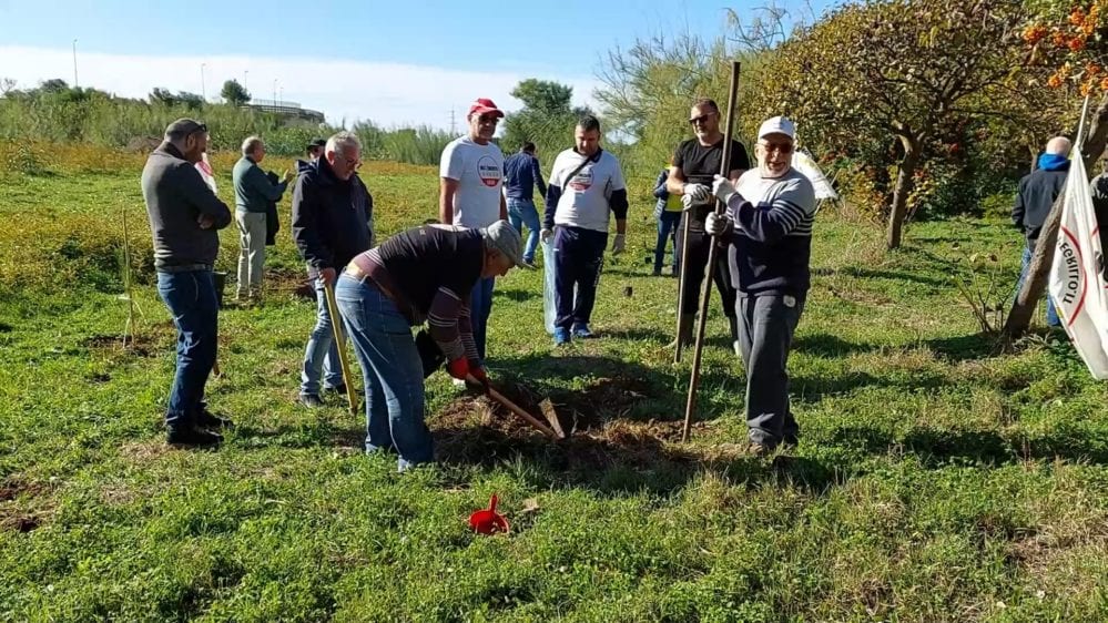 ‘Alberi per il futuro’, il M5S trapanese piantuma pini e lecci. Anche alloro e mirto (VIDEO)