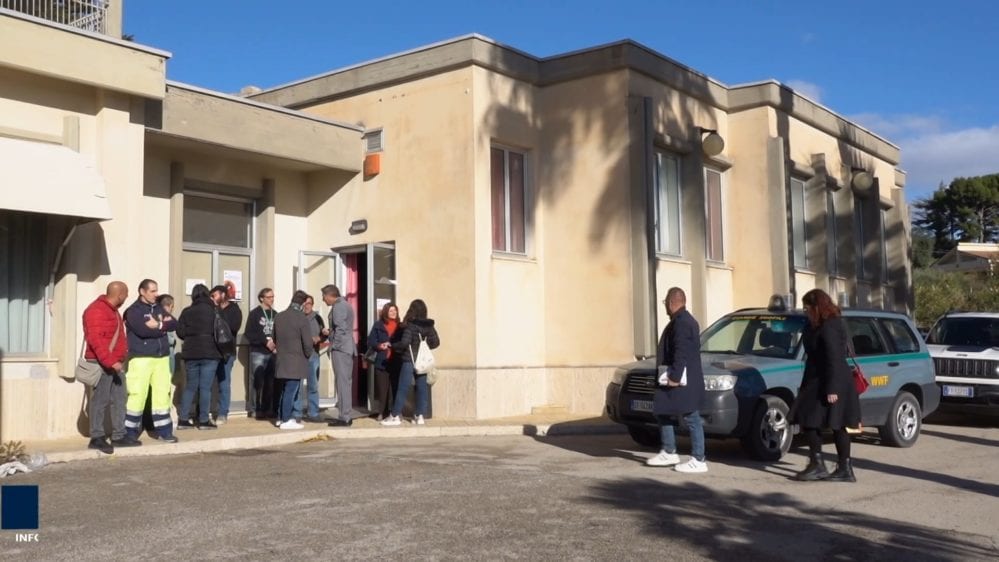 Primo soccorso per animali selvatici, 150 partecipanti da tutta la Sicilia (VIDEO)
