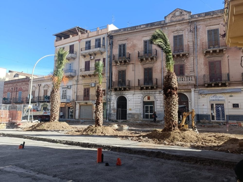 Piantumazione di palme nel corso di Mille a Partinico per abbellire tale strada
