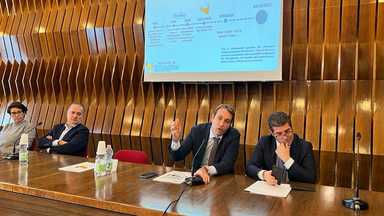 Progetto “Rete 3 Golfi”, misurati oltre 60.000 pesci. Analisi anche nel golfo di Castellammare (Interviste)