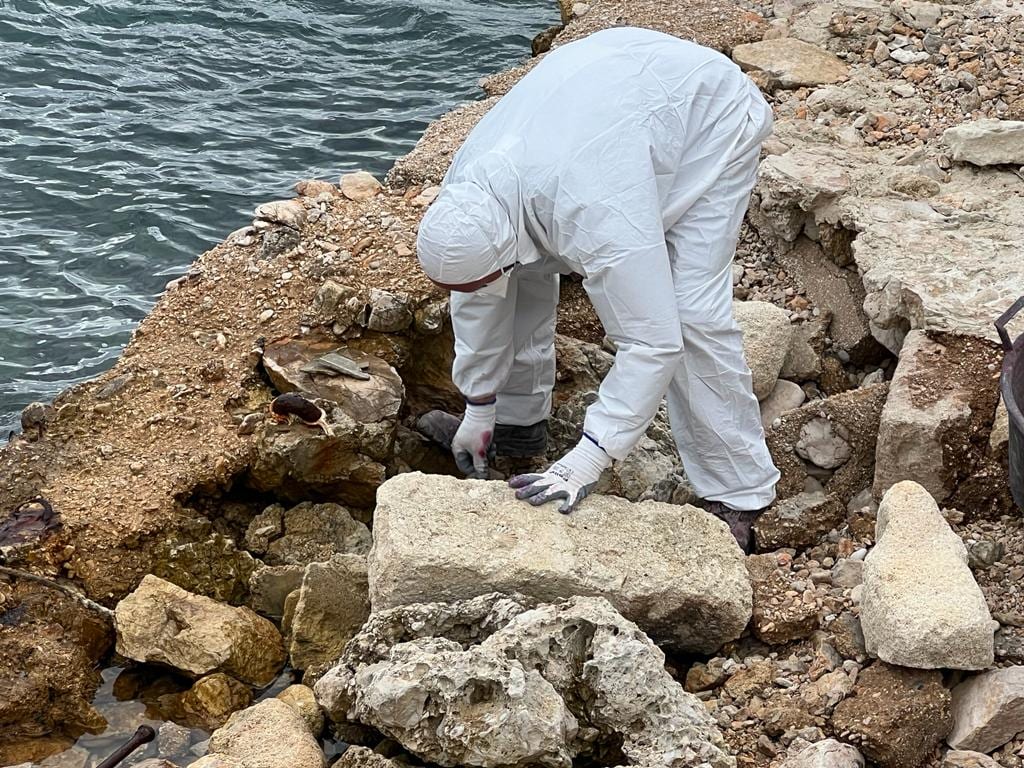 Bonificata area a Favignana, rimossi sfabbricidi e inerti contenenti amianto