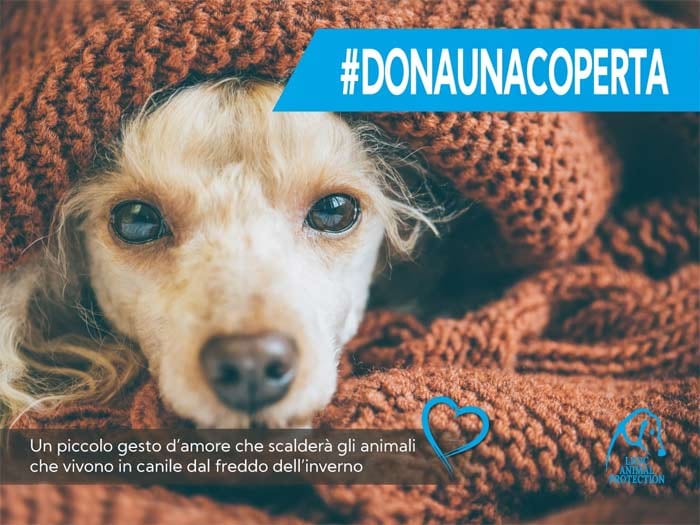 Anche a Trapani la LNDC lancia la campagna “dona una coperta al canile”