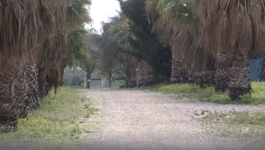 Parcheggio cimiteri di Alcamo, funziona solo 5 giorni all’anno. Contenzioso in corso