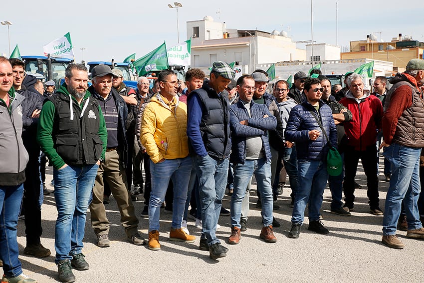 Corteo a Marsala con 200 trattori per manifestazione agricoltori. In campo 6 sindacati