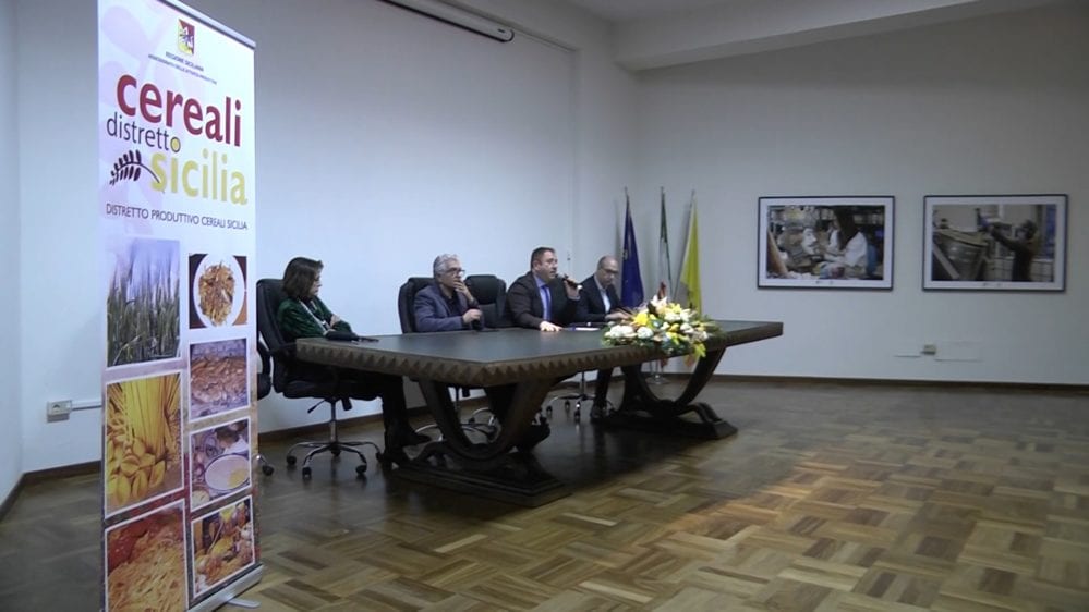 Nasce in Sicilia primo distretto produttivo di cereali. Coinvolte 65 aziende