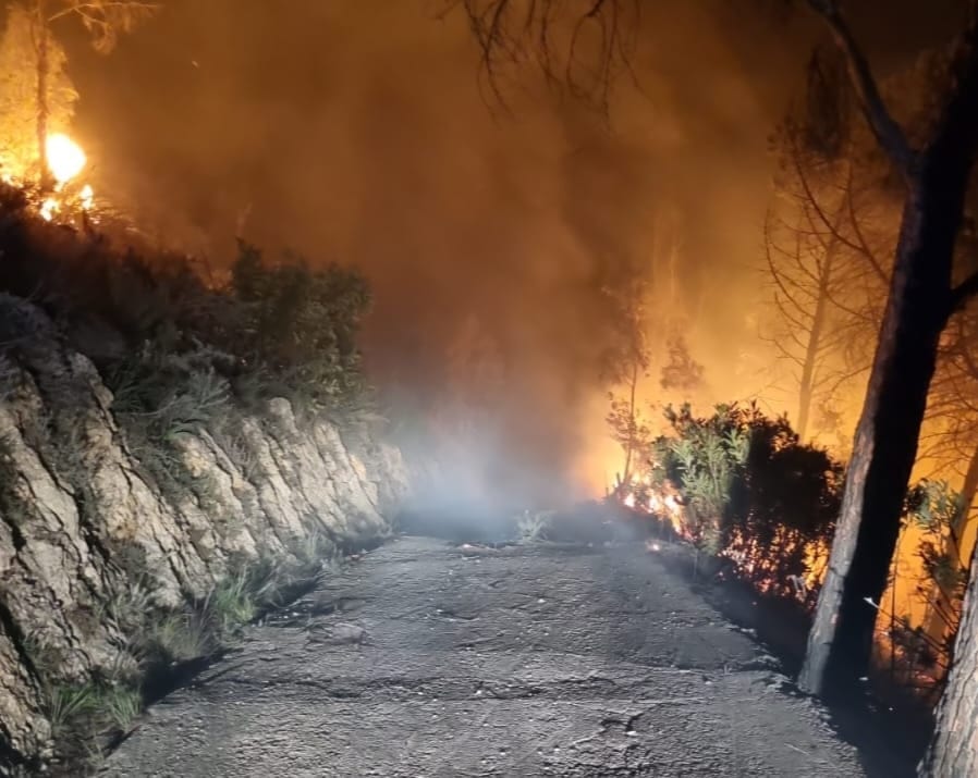 Incendio su Monte Inici, circa 150 ettari in fiamme. 80% di alberi bruciati dovrebbe riprendersi