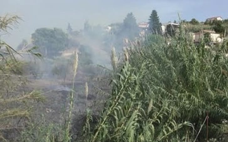 Brucia sterpaglie in contrada Palmeri ma perde controllo del fuoco. Alcamese denunciato