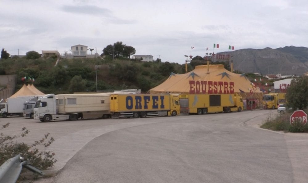 Debutta ad Alcamo circo che tramite il TAR aveva sbloccato piazza. Attrazioni eccellenti