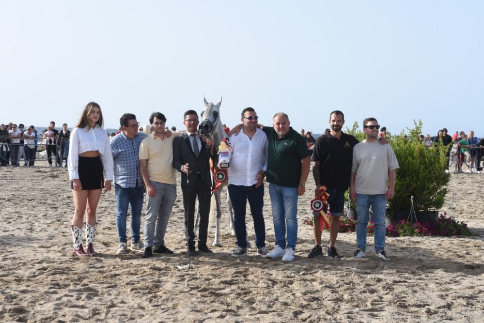 Rafinna PPJ trionfa come Best in Show alla Trapani Arabian Horse Cup (Intervista)
