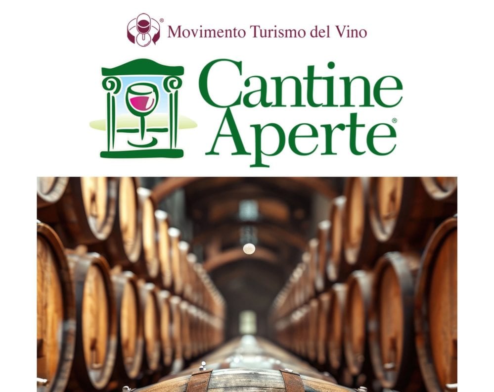 Cantine aperte. Degustazioni di vini e gastronomia anche nel trapanese