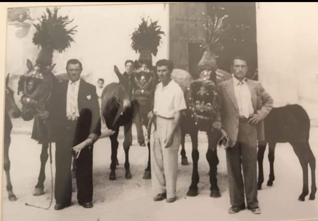 Festa della Madonna di Alcamo, tona la benedizione dei cavalli