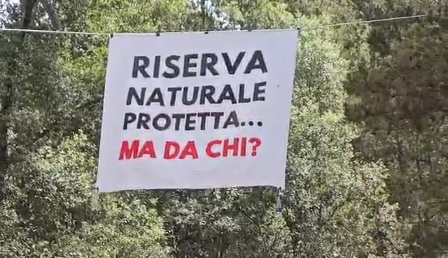 Monte Bonifato di Alcamo, la riserva compie 40 anni. Tutti parlano di ripartenza (Interviste)
