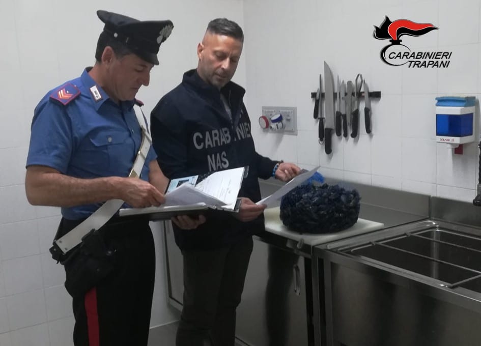 Sequestrati 400kg di prodotti ittici ad azienda di Mazara del Vallo