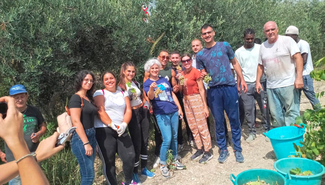 ‘Vendemmia della Legalità’ a Salemi, 35 quintali di uva. Anche migranti fra i filari (Intervista)