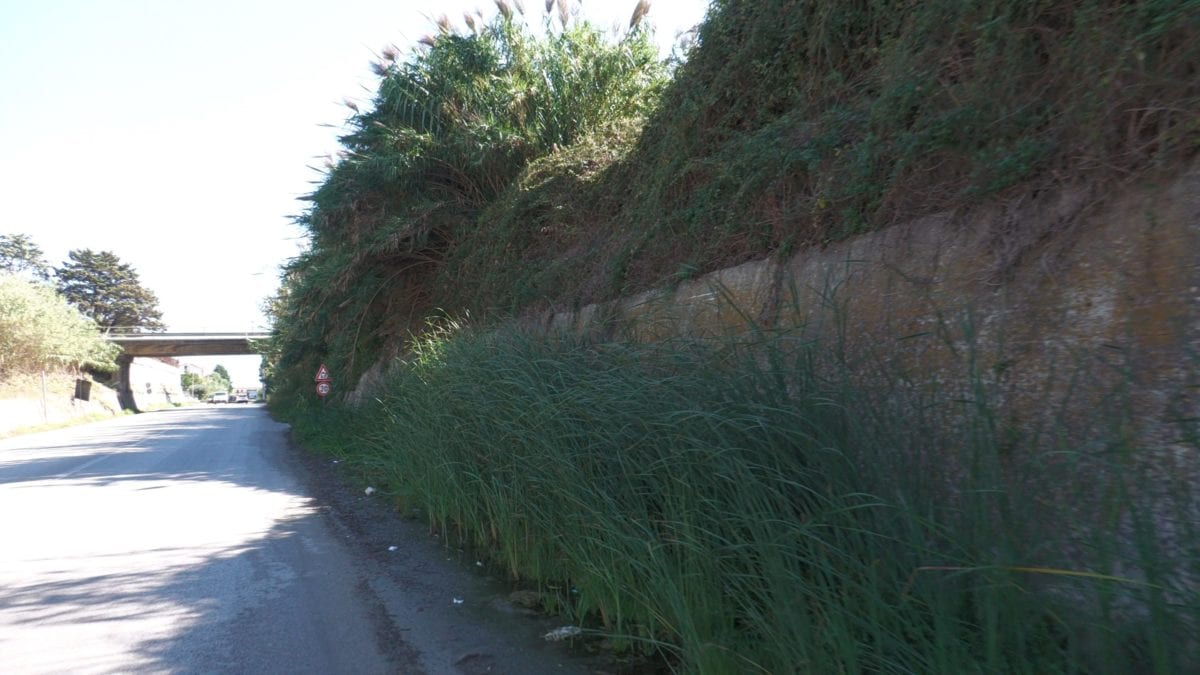 Alcamo, rotatoria sulla SS113, inestricabile e pericolosa giungla a due passi dalle aiuole (Video)