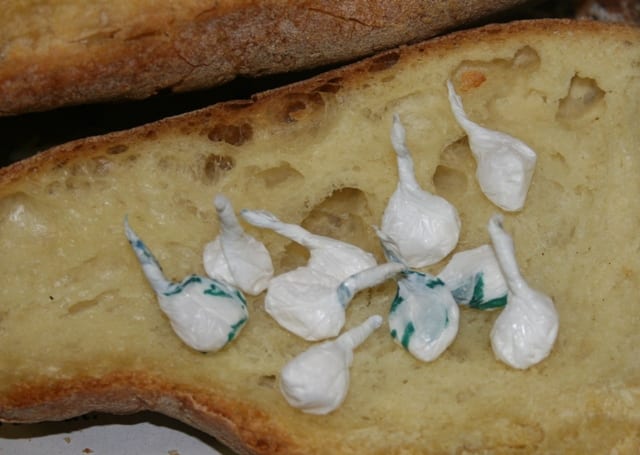 "Oro bianco", due udienze consecutive al Gup. Scelta del rito il prossimo 27 settembre