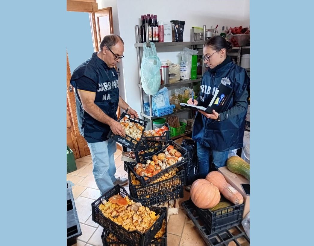 Sicurezza alimentare. Scattano sequestri del Nucleo antisofisticazioni tra Trapani e Palermo