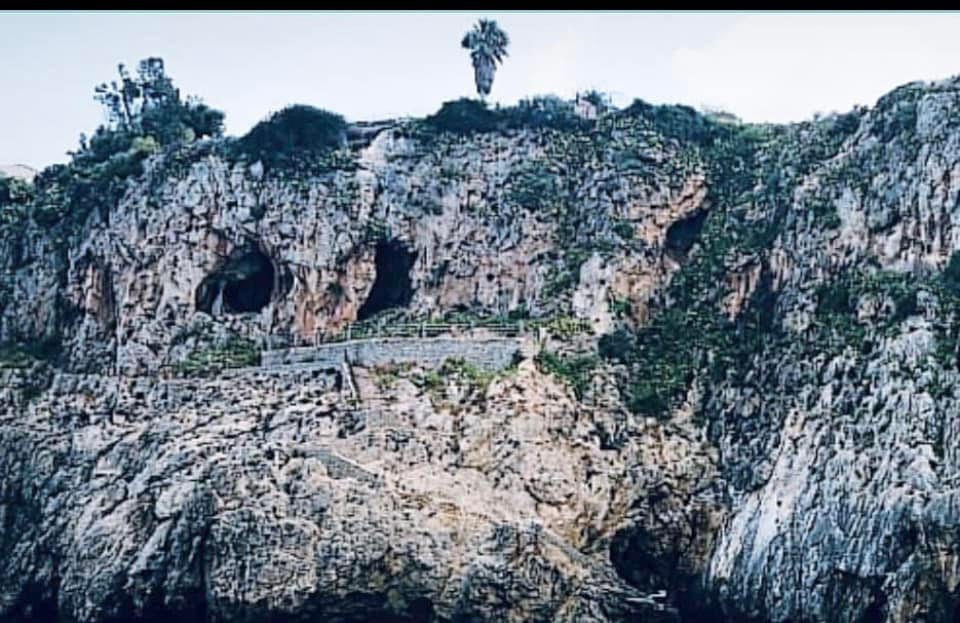 Giovane di Terrasini precipita in una scarpata, ricoverato a Villa Sofia