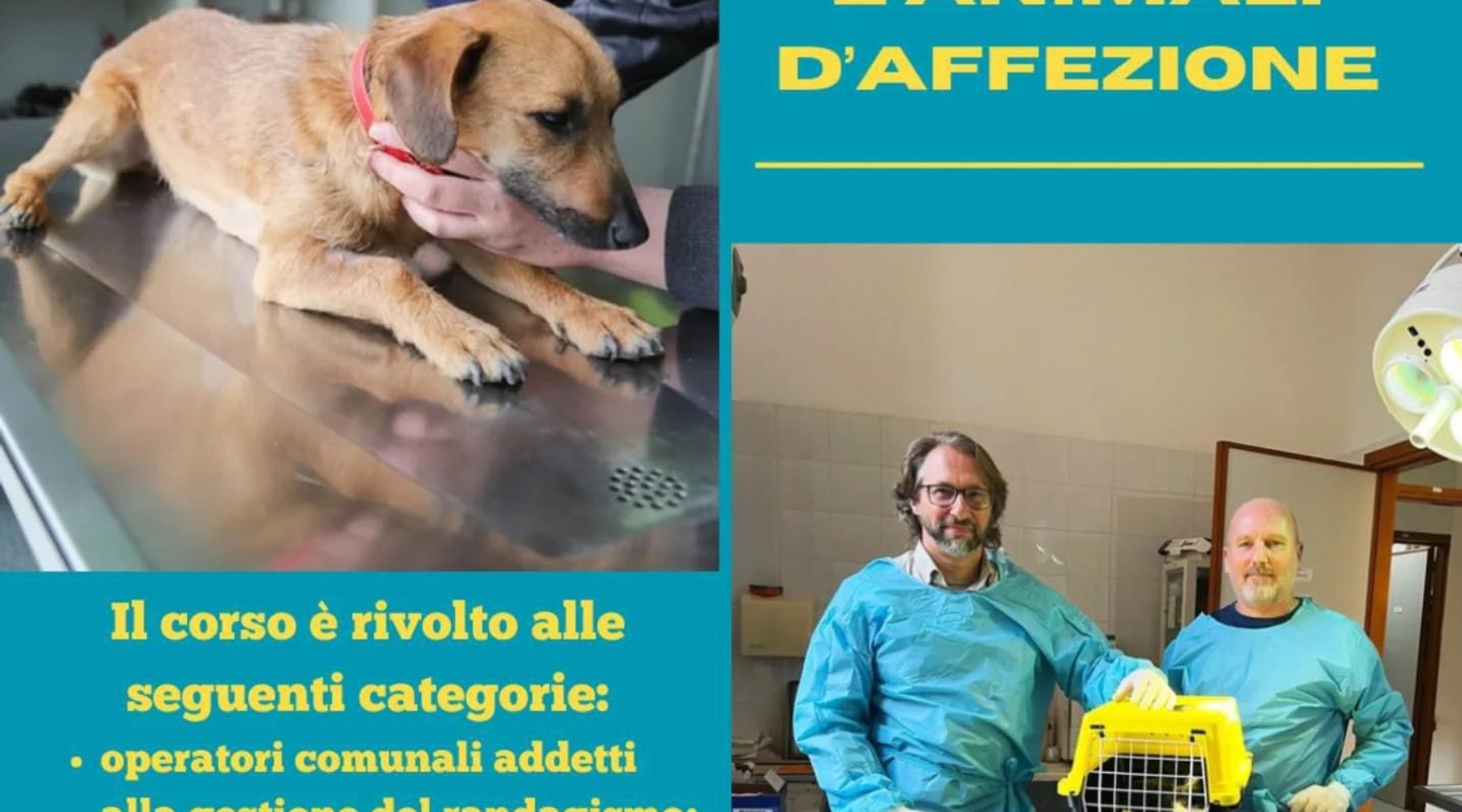 ASP di Trapani indice corso di formazione. Spazio per 60 partecipanti, anche volontari
