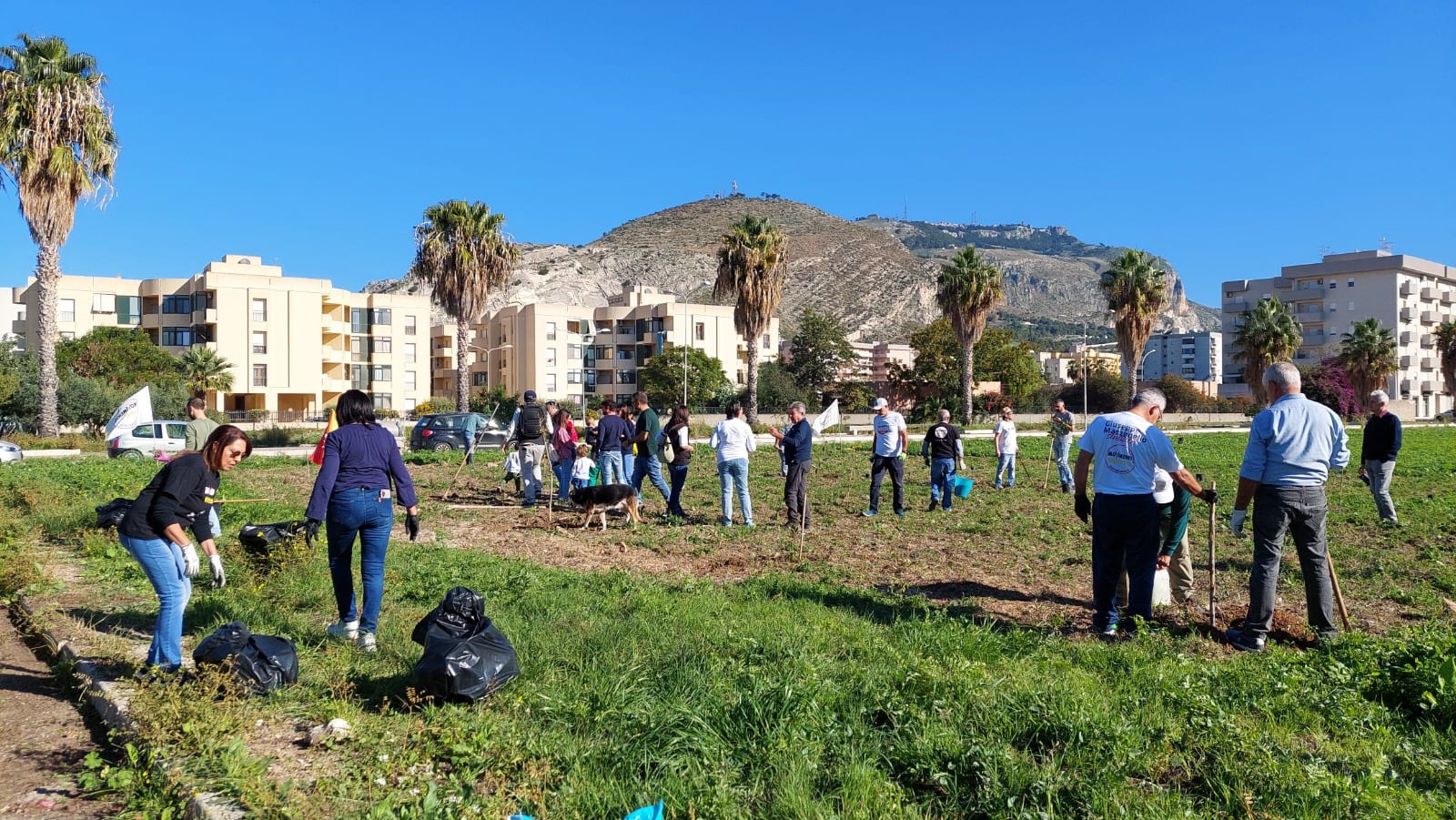 ‘Alberi per il futuro’, attivisti M5S di Trapani piantano lecci e mandarini (Intervista)
