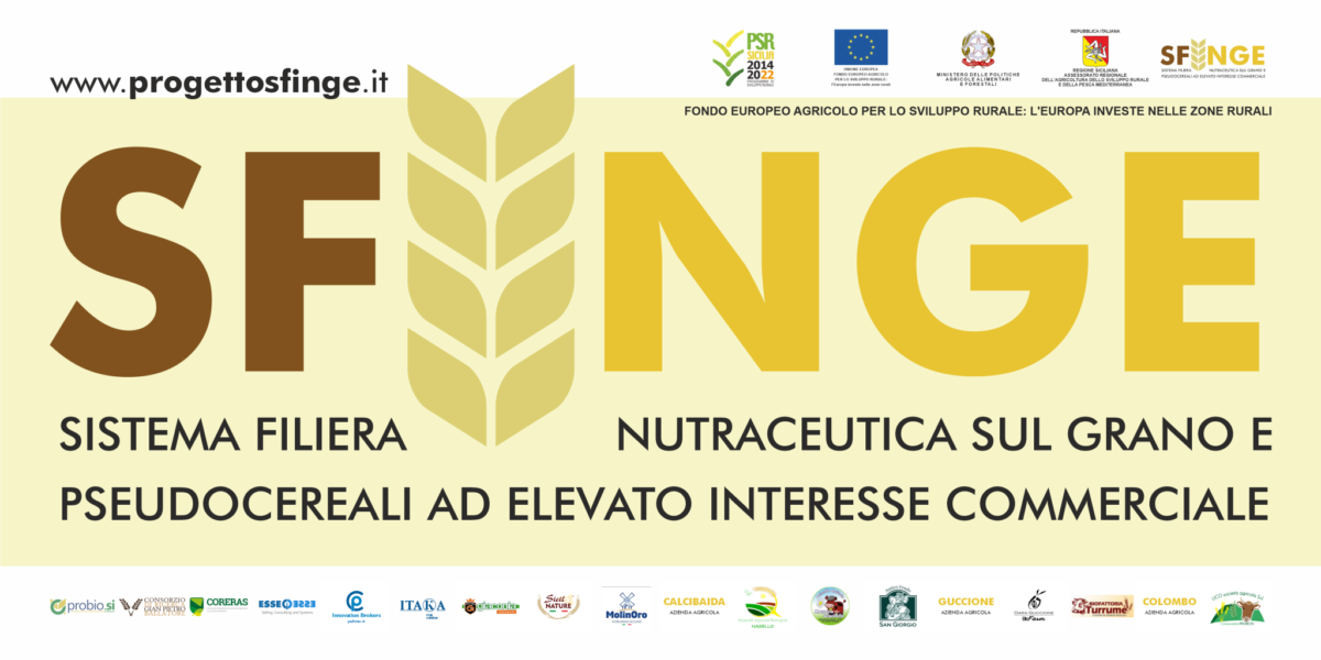 Progetto ‘Sfinge’, grani antichi certificati con innovative tecnologie