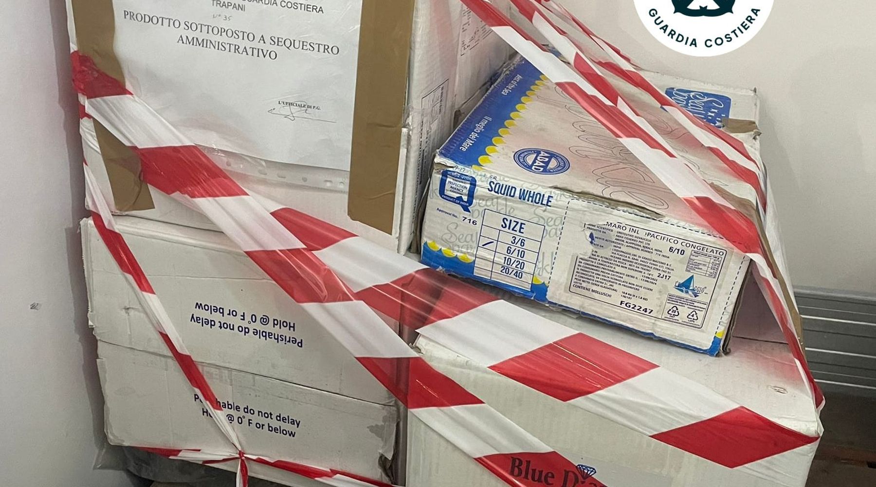 Guardia Costiera, controlli a tappeto nel Trapanese. Sequestrati quintali di pesce, 20 KG a Castellammare