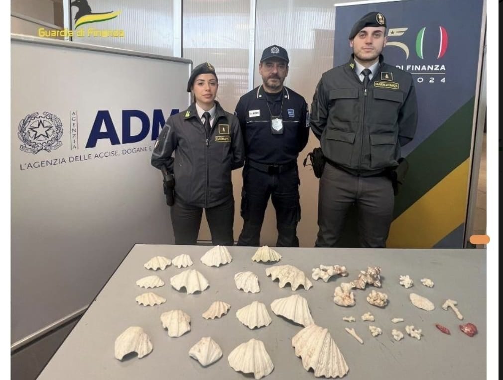 Sequestrati, all’aeroporto di Palermo, esemplari di specie protetta di coralli