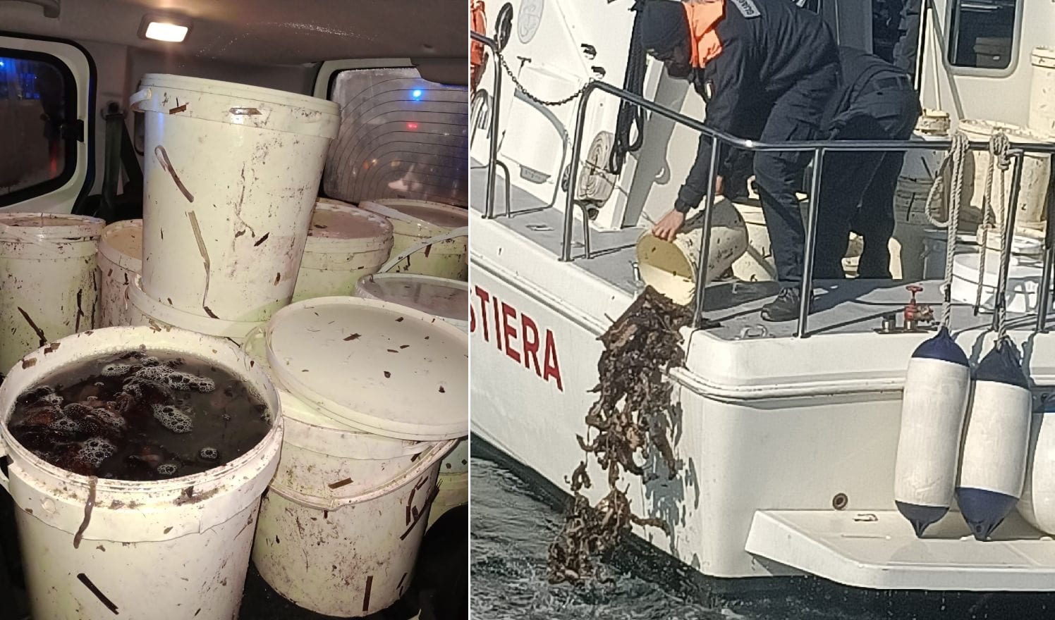Cetrioli di mare, pescatori di frodo denunciati dalla Guardia costiera di Trapani