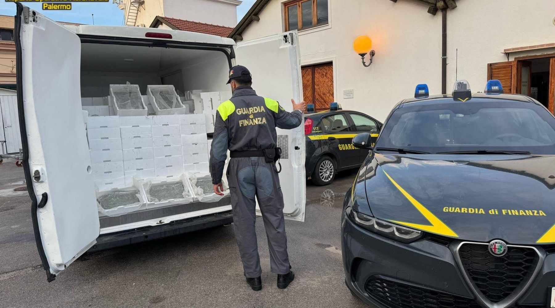 Sequestrate 2 tonnellate di novellame di sarda, avrebbe fruttato 60.000 euro