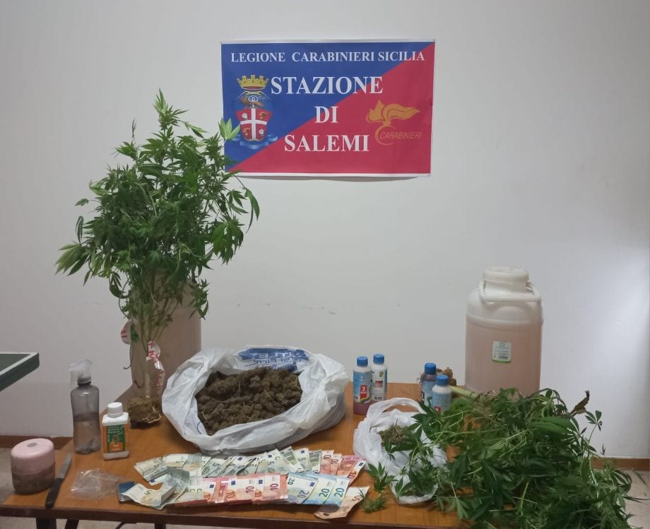 Arrestato imprenditore di Vita, trovati 3Kg di marijuana nella struttura ricettiva