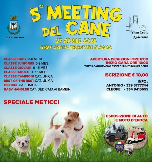Meeting del cane ad Alcamo, al via la quinta edizione