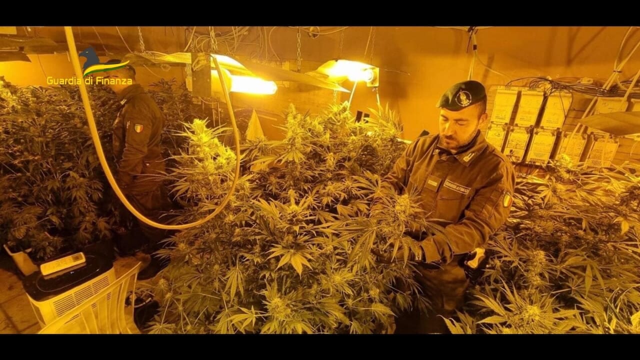 Maxi piantagione indoor di cannabis sequestrata a Carini in una villetta isolata