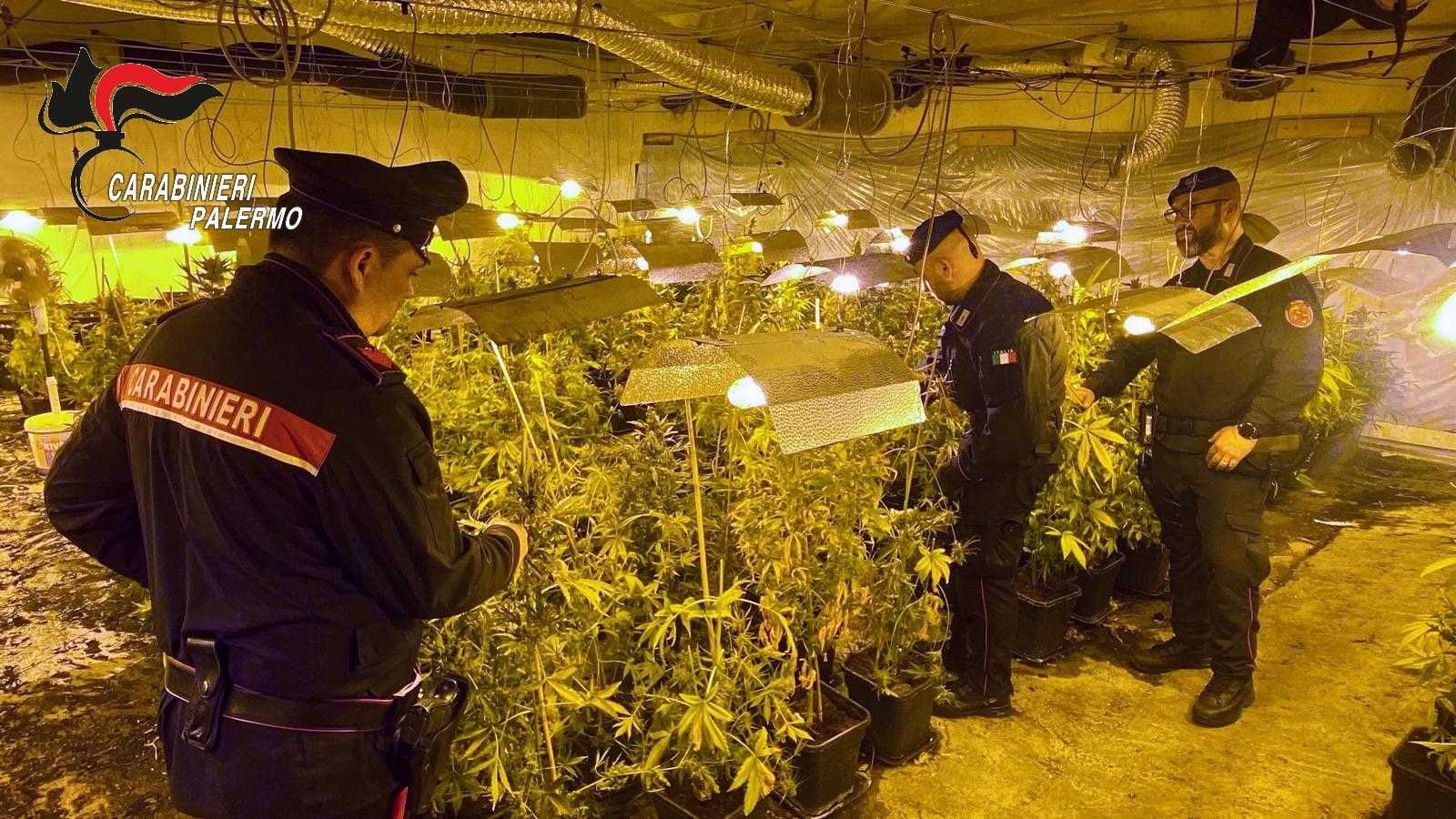 Un arresto per droga a Borgetto e anche denunce e multe