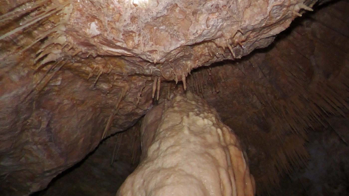 La Grotta della Clava di Custonaci incanta il pubblico del “Borghi dei Tesori Fest” (intervista)