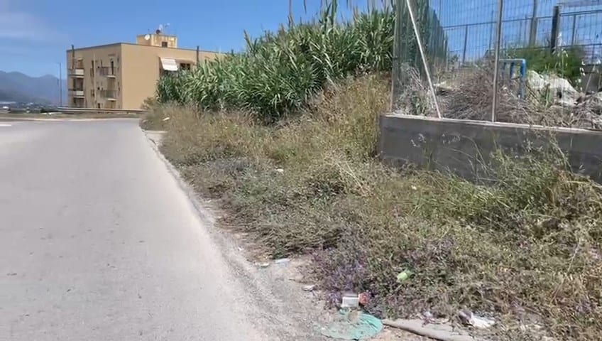 Erbacce a Sant’ Ippolito, appello al Comune di Alcamo per la rimozione