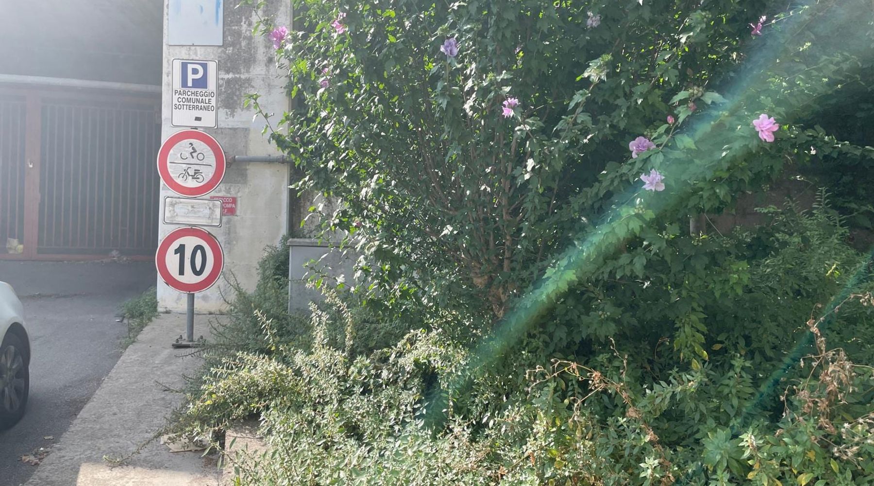 Piazza Bagolino ad Alcamo, sterpaglie e parchimetri guasti