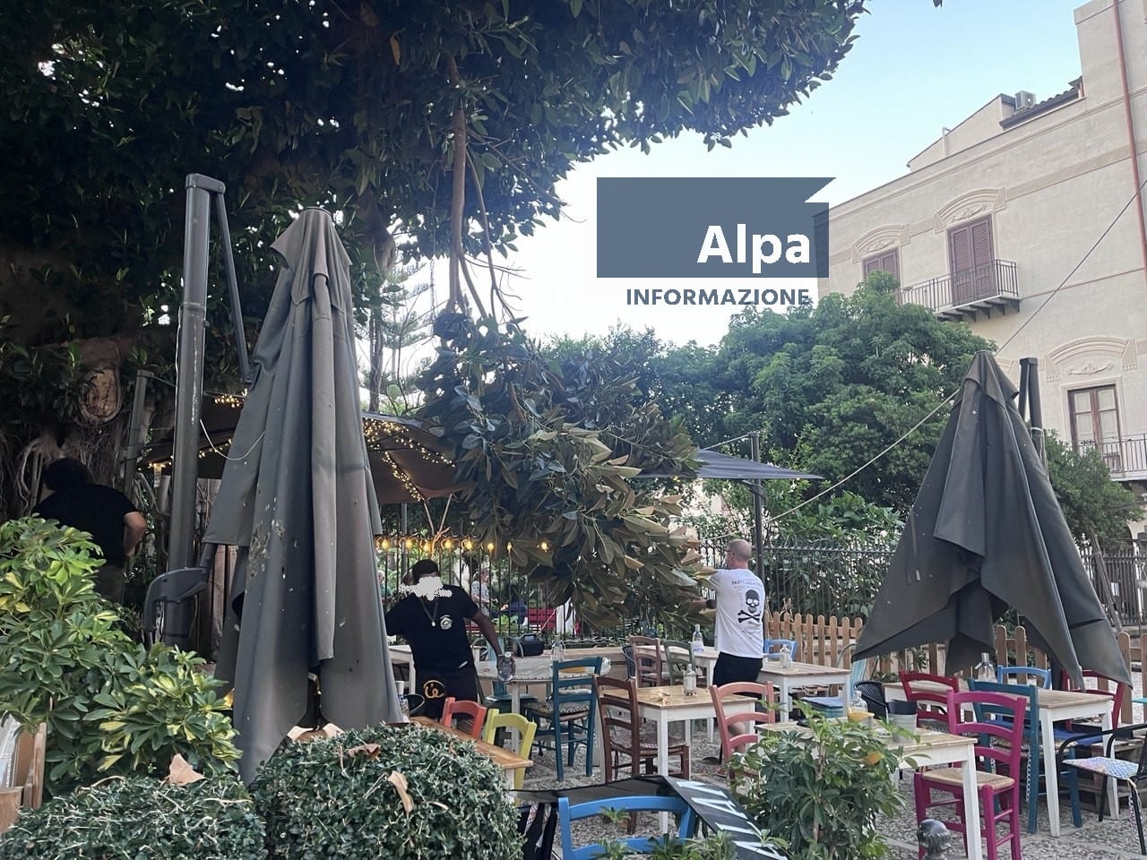Ramo di ficus si stacca in Villa Margherita di Castellammare e piomba sui tavoli di un locale