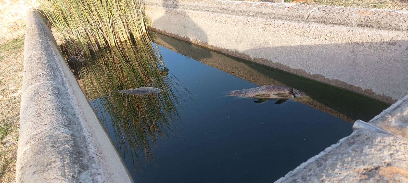 Alcamo C/da Calatubo, manomessa la fontana della Cuba delle Rose