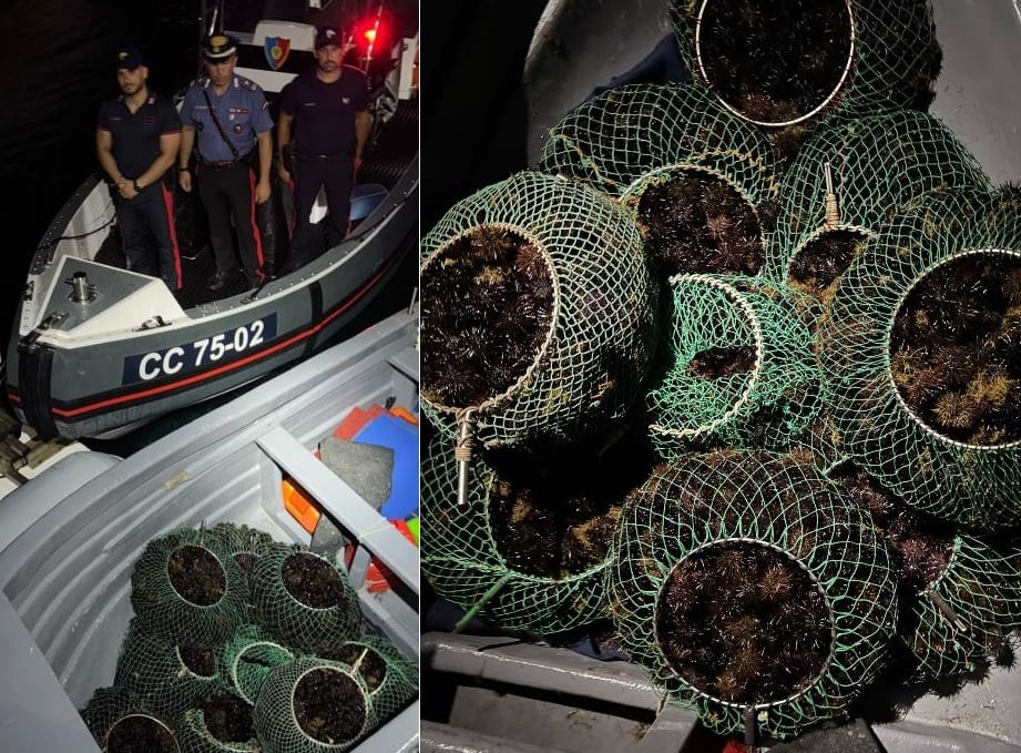 Pesca di frodo in area marina protetta di Ustica, 1600 ricci rimessi in mare