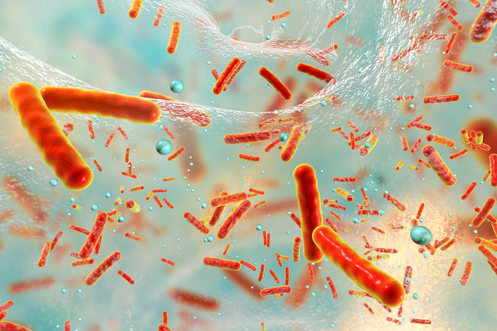 Tubercolosi: cause, pericoli e precauzioni