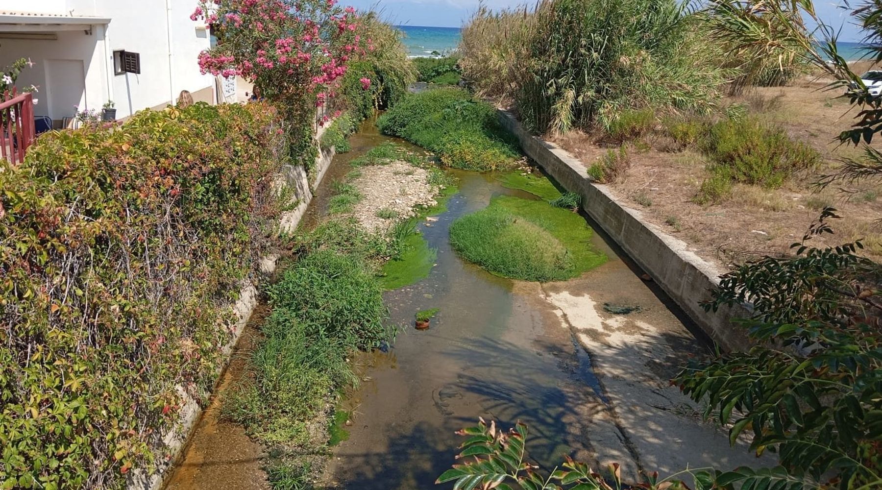 Torrente Canalotto di Alcamo Marina invaso dalle erbacce, timore di future esondazioni