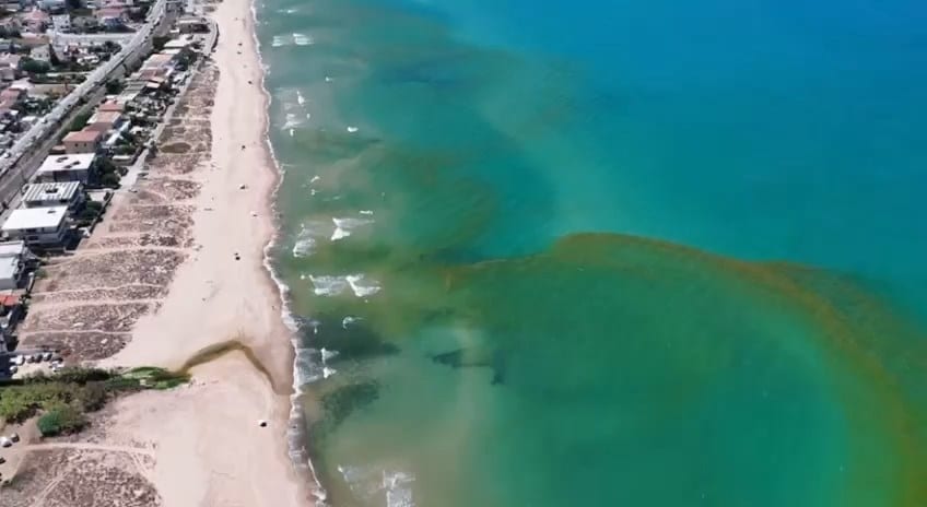 Inquinamento nel mare del Canalotto? Capitaneria effettua prelievo, campioni inviati all’Asp di Trapani (VIDEO)