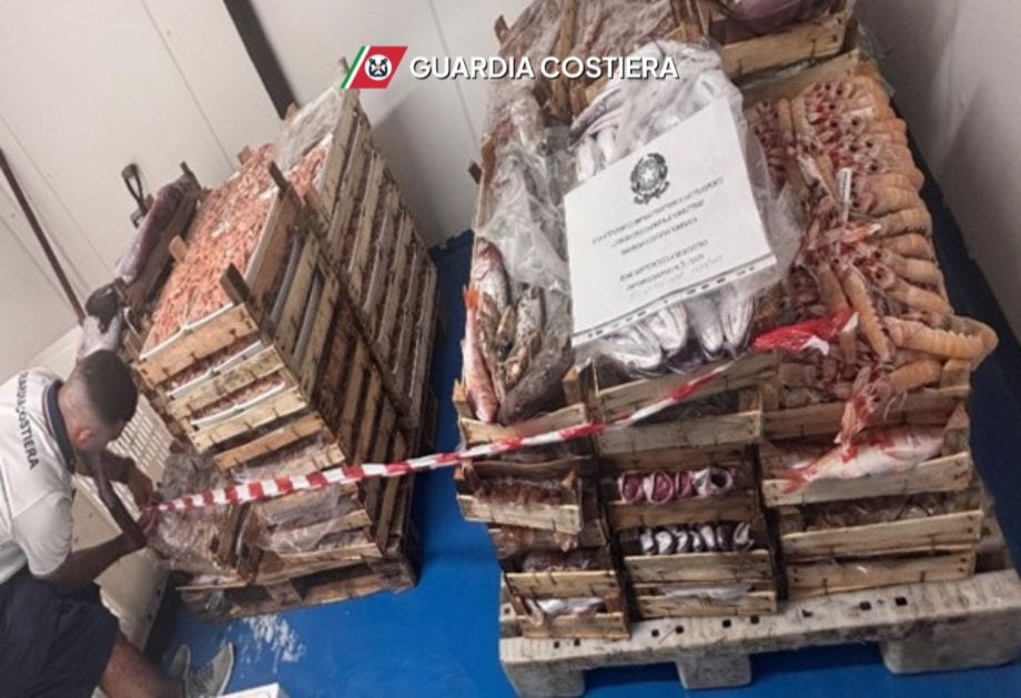 Sequestrati a Marettimo reti da pesca illegali e oltre tre quintali di pescato