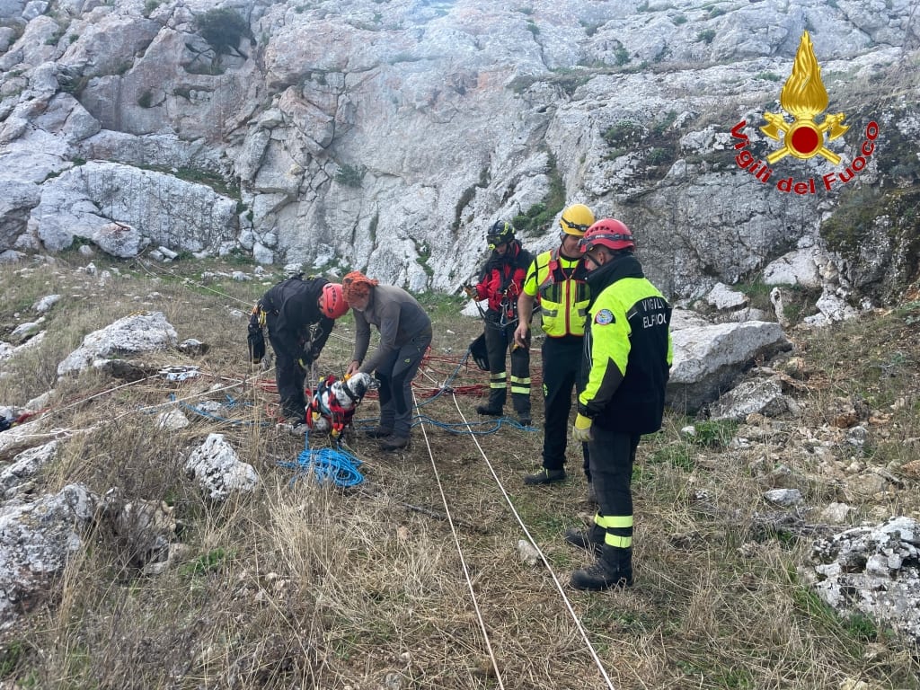 VVF in azione a Monte Kumeta, salvato il cane intrappolato in scarpata impervia
