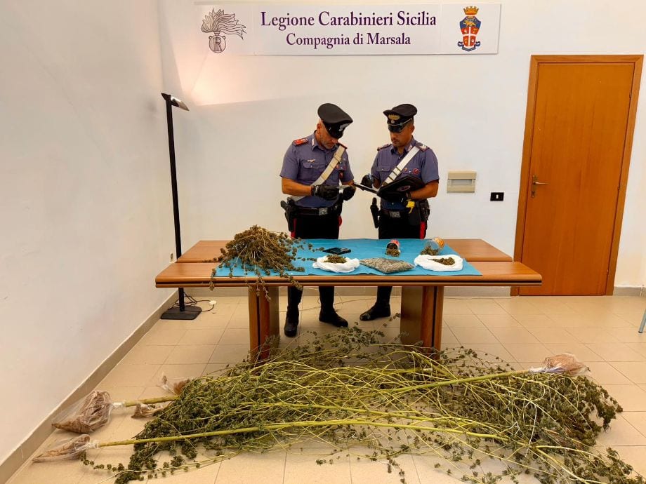 Odore di cannabis tradisce 59enne in prova: Carabinieri scoprono maxi-piantagione a Marsala