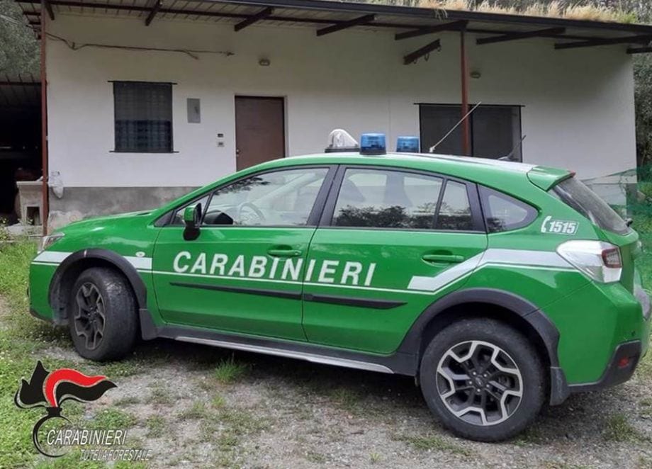 Macellazione clandestina e 10.000 € di multa, denunciato valdericino