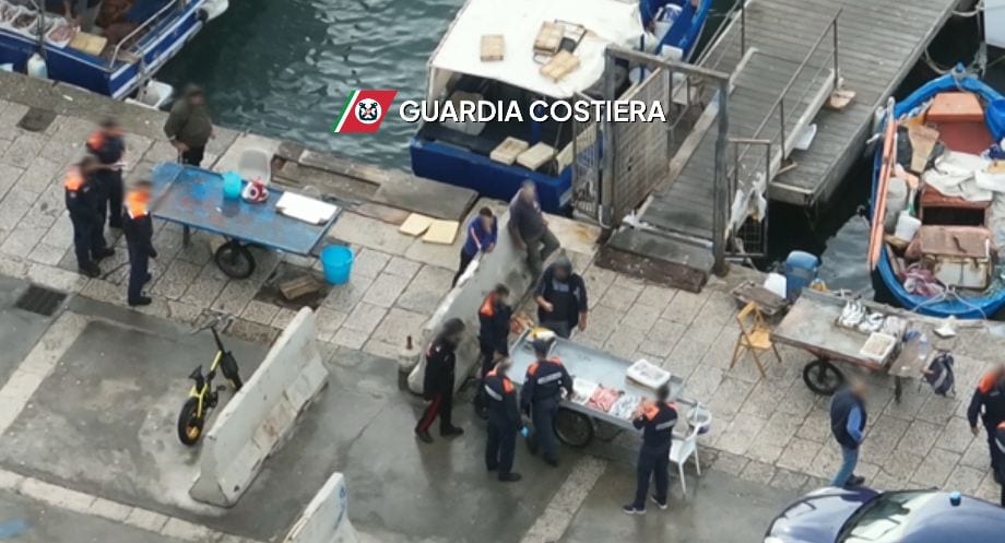 Blitz a Trapani: 200kg di pesce illegale sequestrati, multe per 13.000 euro contro venditori abusivi