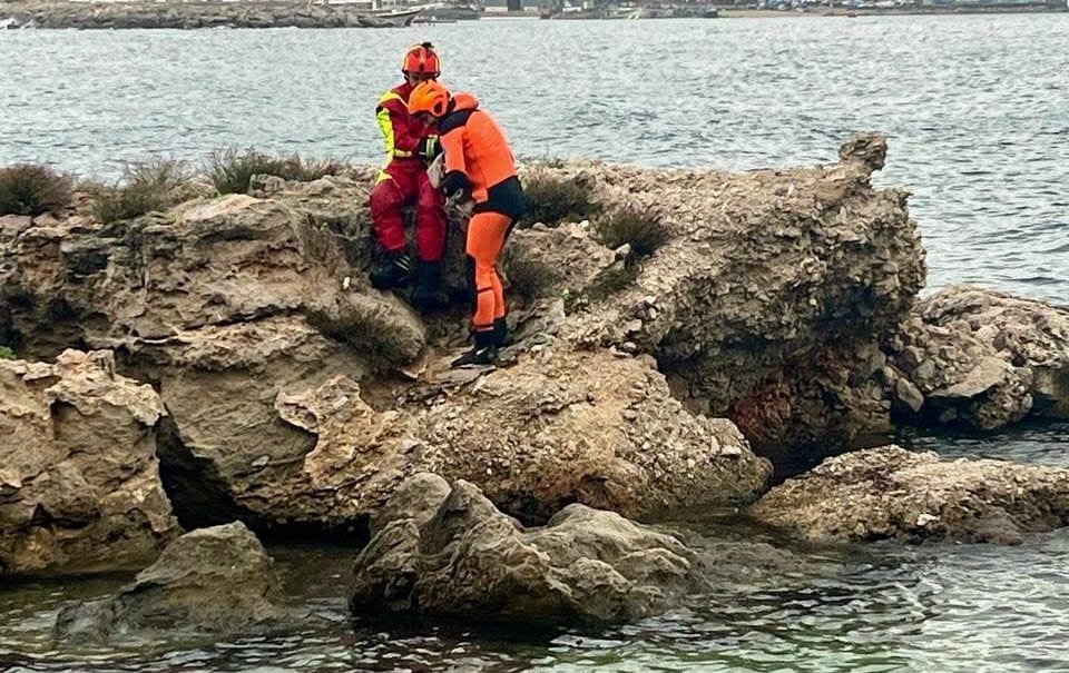 Salvato un cagnolino su uno scoglio a Sferracavallo, non riusciva a tornare a riva