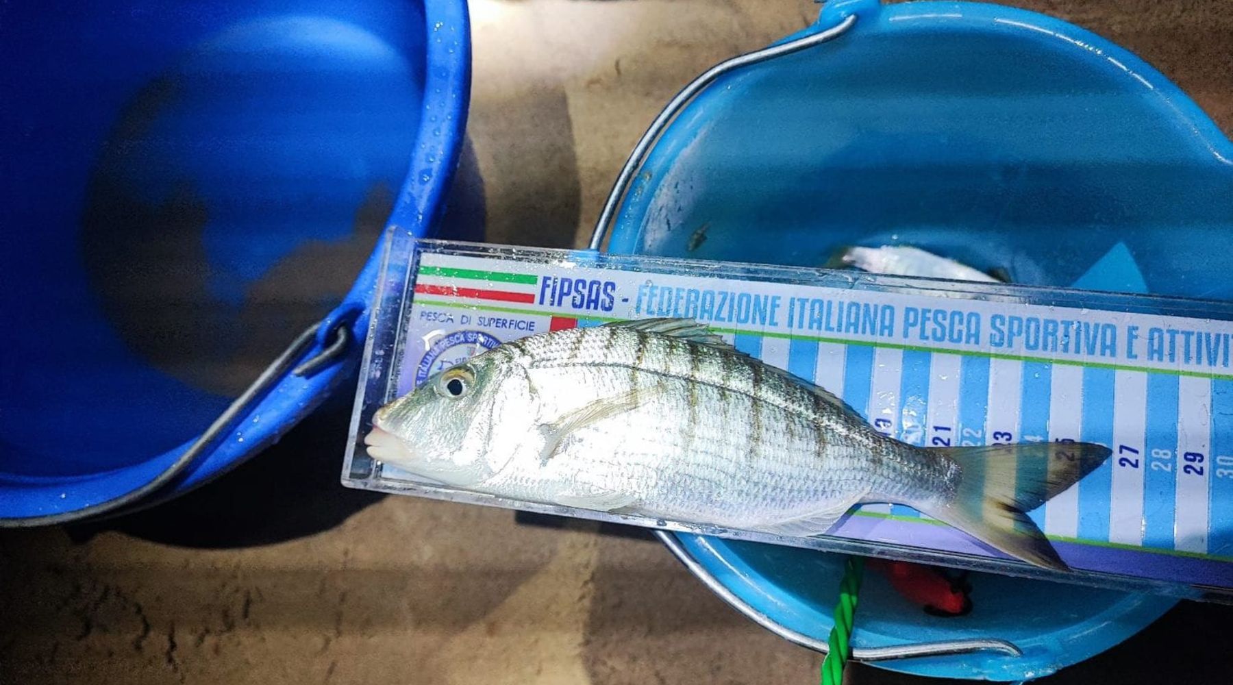 Maltempo non ferma il Campionato Italiano Surfcasting: Grasso trionfa ad Alcamo, primi venti nel Club Azzurro